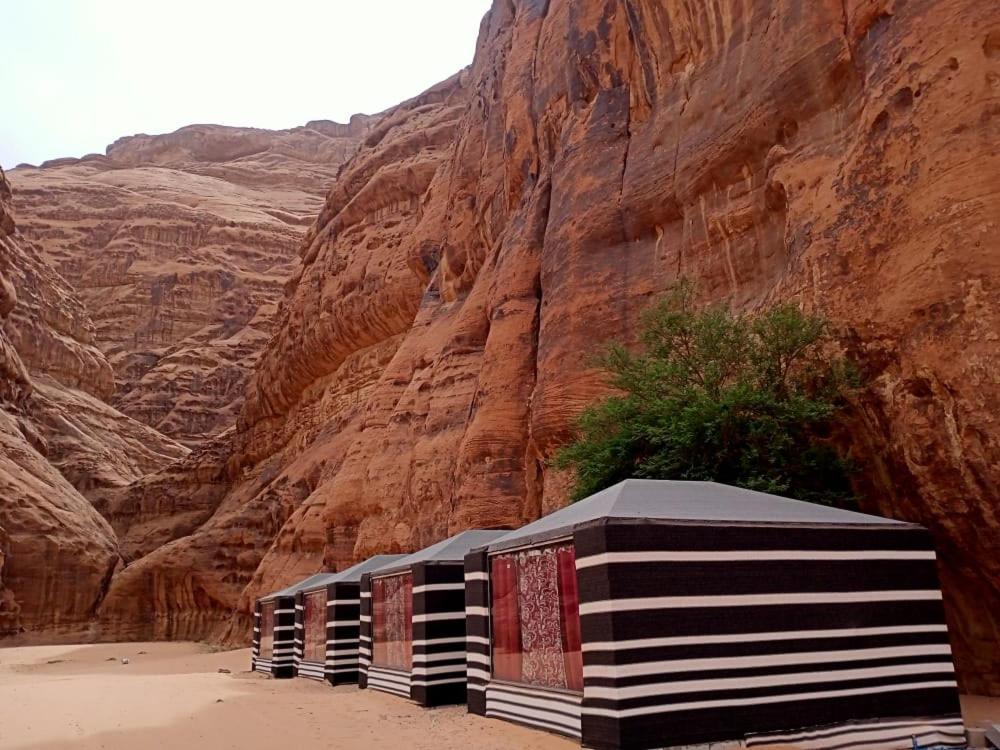 Shahrazad Desert, Wadi Rum Exteriör bild