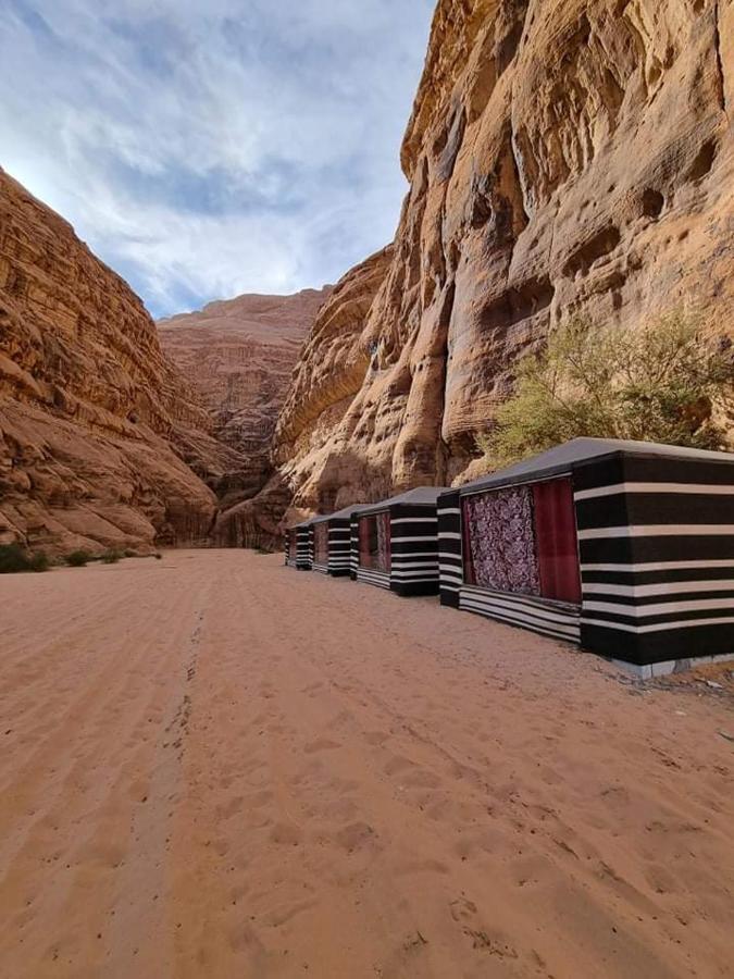 Shahrazad Desert, Wadi Rum Exteriör bild