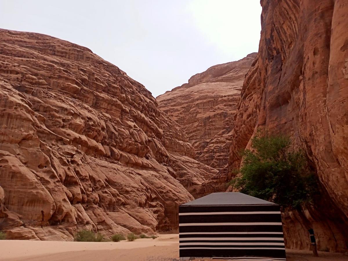 Shahrazad Desert, Wadi Rum Exteriör bild