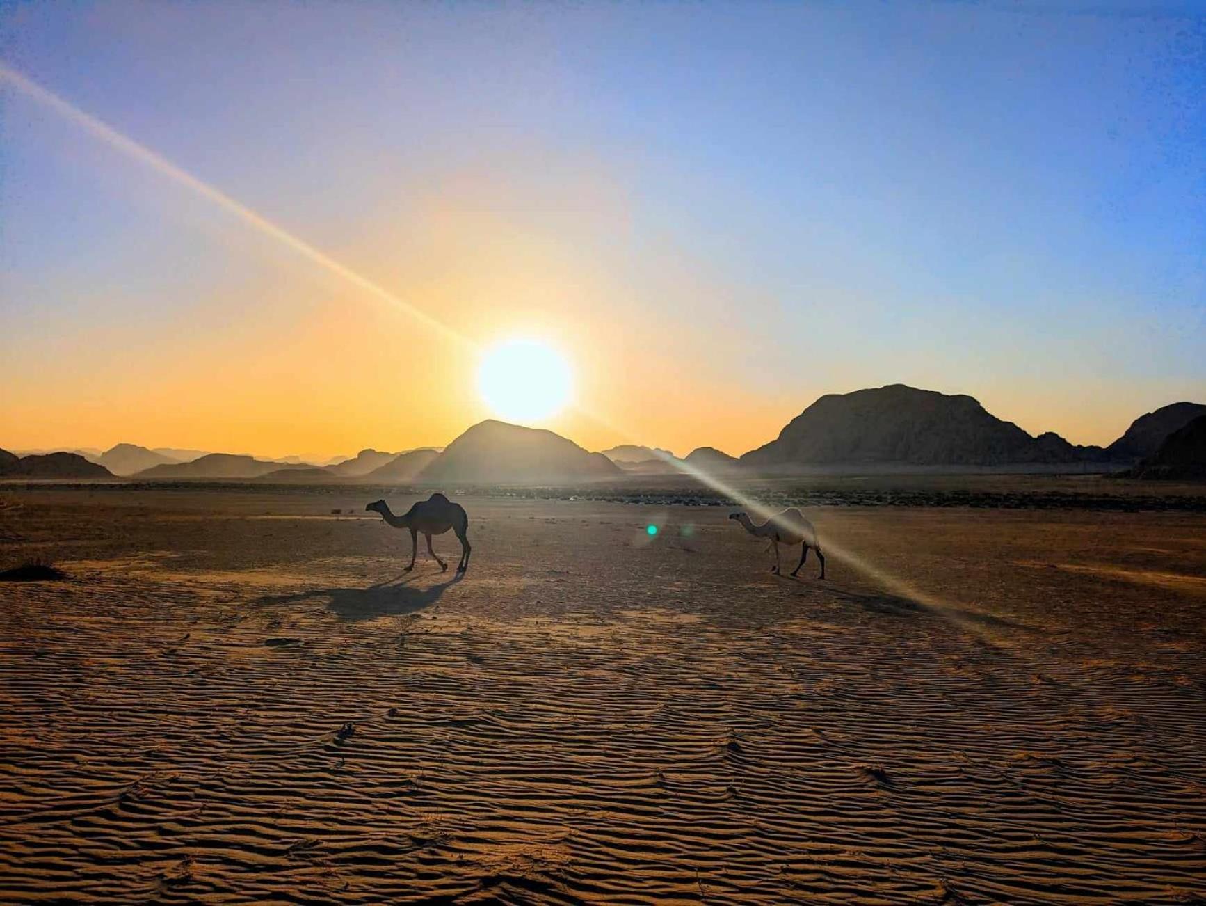 Shahrazad Desert, Wadi Rum Exteriör bild